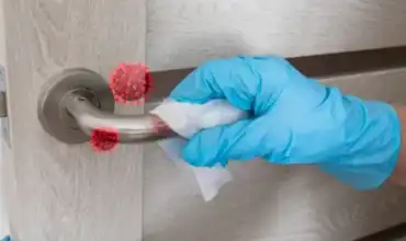 Disinfectant products for home and business