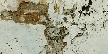 Main Causes of Basement Moisture & How to Diagnose