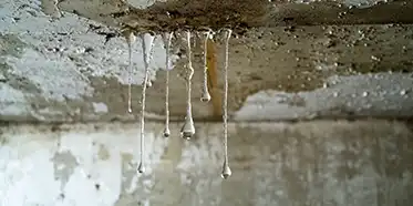 Basement Moisture Diagnosis: Causes, Signs & Checks