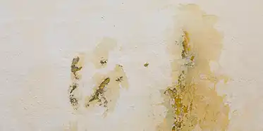 Basement Moisture and Its Impact on Health & Structure