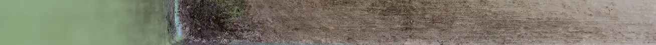 wet basement wall after rain with water infiltration and dark damp patches