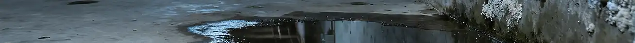 Basement moisture problems in different building types including residential, commercial, historical, and industrial structures