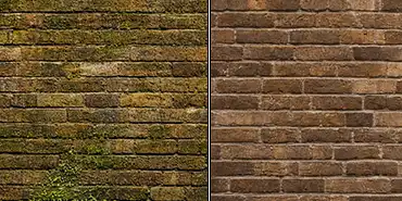 Best Way to Remove Algae and Moss from Facades