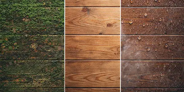 Holzfassade vor und nach Moosentfernung mit hydrophober, diffusionsoffener Schutzbeschichtung gegen Feuchtigkeit