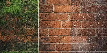 Protect Facades from Algae and Moss with Breathable Coatings