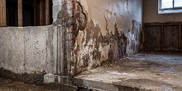 Rising Damp: What It Is and How to Stop It