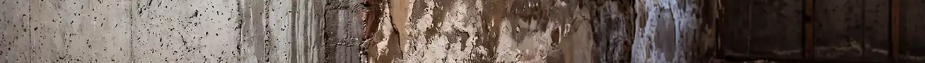 Rising damp in a basement wall caused by groundwater moving upward through masonry.