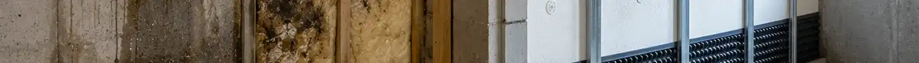 Basement moisture damage caused by missing waterproofing and inadequate protection before insulation installation