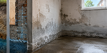 7 Signs Your Home Needs Waterproofing