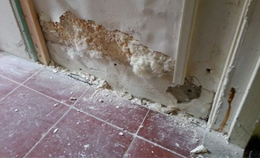 Mold between internal and external walls