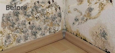 How to safely remove mold from porous surfaces?