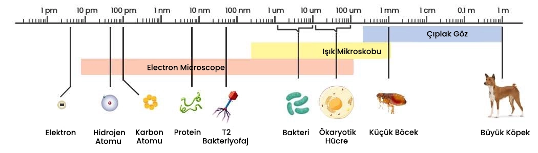 Dezenfektanlarda piko teknolojisinin uzun süreli mikrop koruması için kullanılmasının faydaları nelerdir?