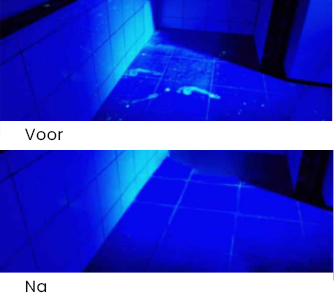 Welke oplossingen bestaan er om bacteriën op oppervlakken te elimineren?