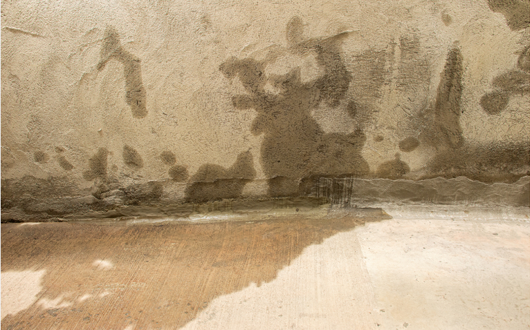 Understanding and Addressing Moisture in Your Basement