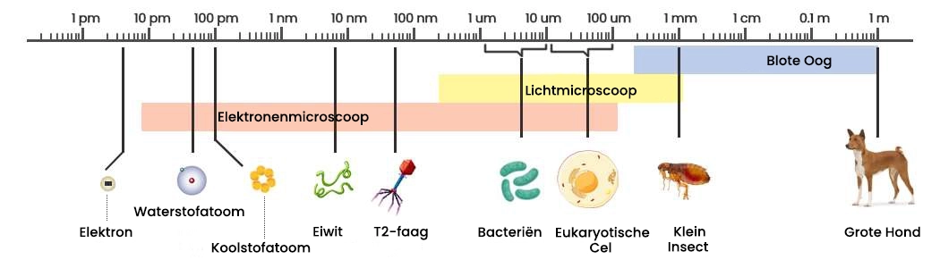 Het verschil tussen picotechnologie en nanotechnologie