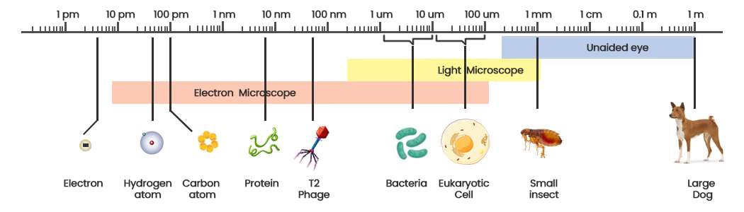 The difference between picotechnology and nanotechnology