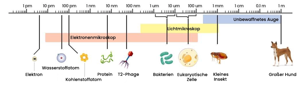 Der Unterschied zwischen Picotechnologie und Nanotechnologie