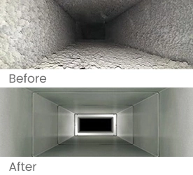 Long-lasting mold protection