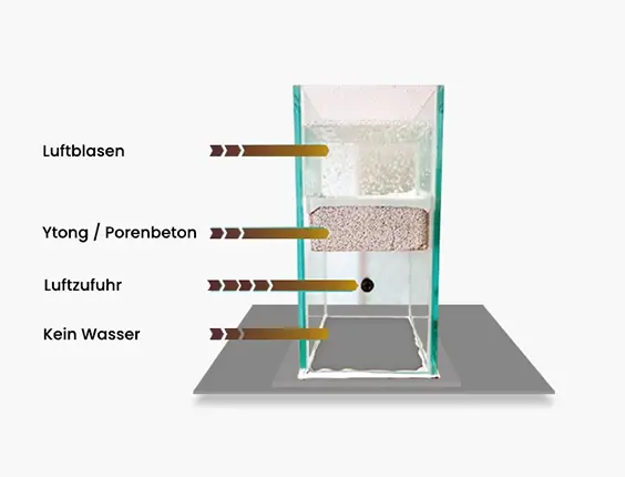 Biobasierte Produkte auf Basis der Pico-Technologie