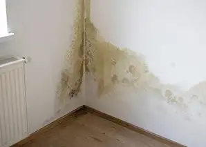 Yükselen nemi anlamak ve Logic Water kullanımının faydaları