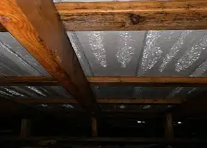 What is the cause of moisture in the roof?