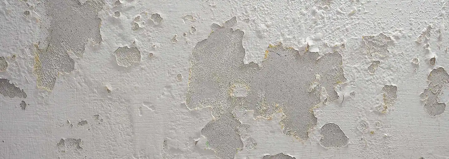 The Ultimate Solution for Rising Damp - logic water