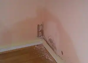 Mantıklı Su ile Etkili Yükselen Nem Çözümleri: Gelecek İçin Evinizin Korunması