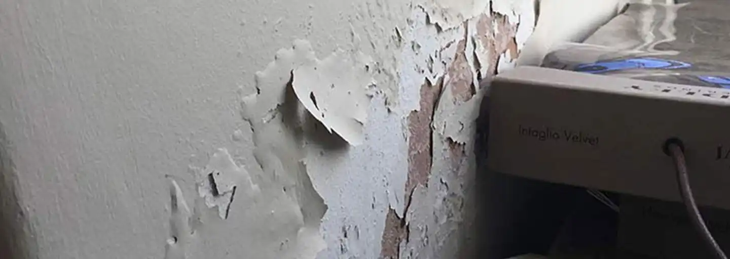 Mantıklı Su ile Etkili Yükselen Nem Çözümleri: Gelecek İçin Evinizin Korunması