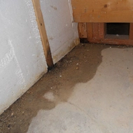 Understanding the Causes of Basement Moisture