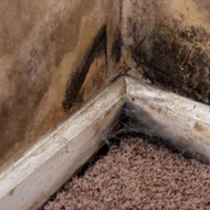 What causes moisture in basements?