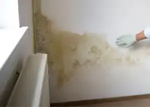 Binalardaki Nem Sorunlarının Temel Nedenlerini Ortaya Çıkarma
