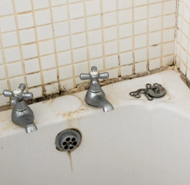 Say Goodbye to Bathroom Mold with MoldEx