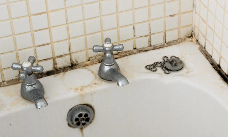 Dealing with mold in your bathroom can be a frustrating and potentially hazardous task. From unsightly black spots to unpleasant odors, mold can quickly take over your space if left untreated. 