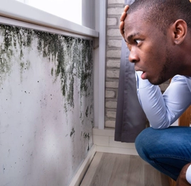  The effect of mold on your health and ways to eliminate it