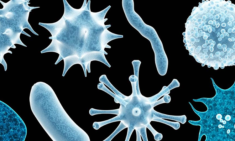 Bacteria and viruses are everywhere. On our hands, on surfaces, in the air, on objects and much more!