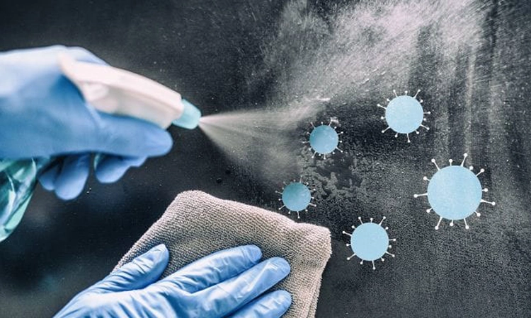 In the quest for effective and safe disinfectants, Logic Germ stands out as an exceptional choice. The key ingredient, benzalkonium chloride, is not only recognized for its powerful antimicrobial properties but also for being gentle on the skin.