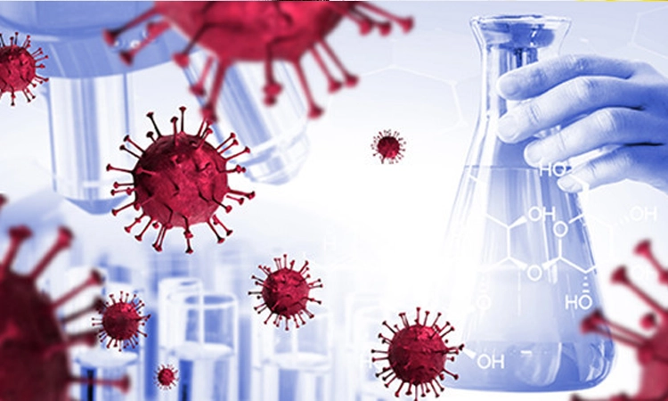 Im Jahr 2019 breitete sich das Coronavirus aus und wie ein Flächenbrand breitete es sich schnell auf alle Länder aus.