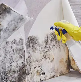 MoldEx Banyo Küf ve Küfle Savaşan Güvenilir Çözümünüz