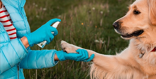 pet sanitizing