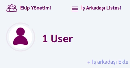 Ekip Yönetimi: Rolleri ve İzinleri Yönetme