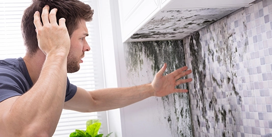 How does bacteria spread on kitchen surfaces?