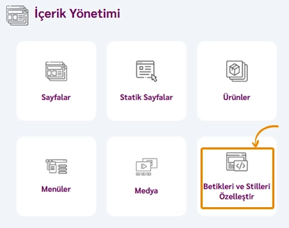 Scriptler, stiller, yazı tipleri ve animasyonlar ile web sitesi nasıl özelleştirilir