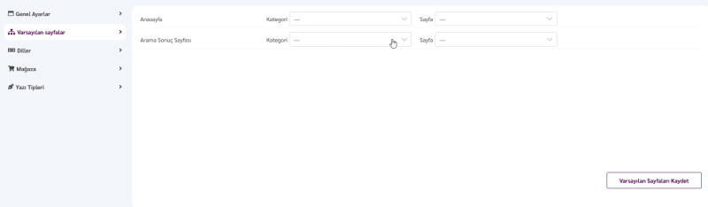 Ciriks Site Builder Ana Sayfa Ayarı