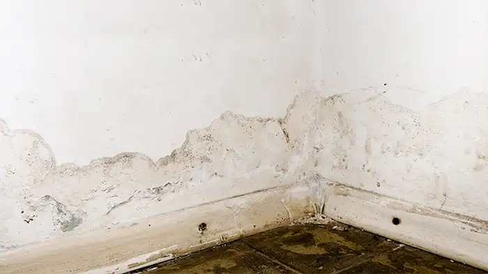 Logic Water before moisture and waterproblems in wall