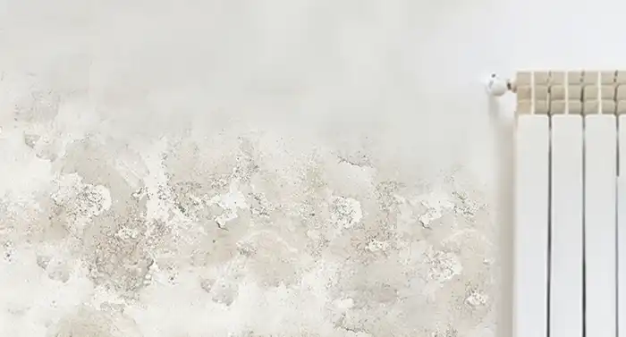 Humidsan before moisture problems in wall