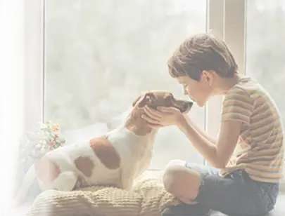 animal disinfection alcohol-free