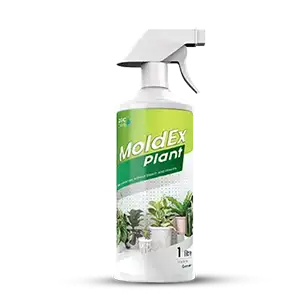 MoldEx Plant