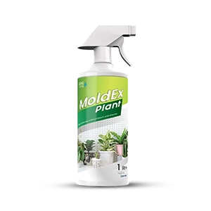 MoldEx Plant
