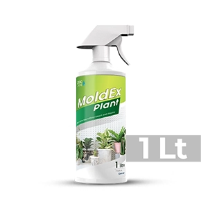 1 Lt