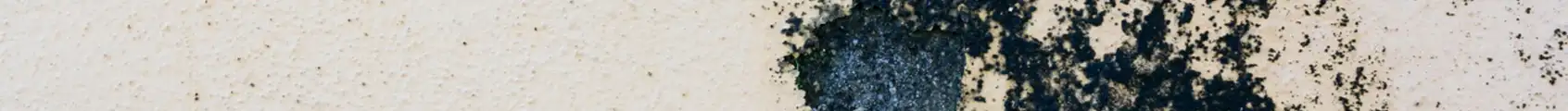 Schwarze Schimmelflecken an der Wand in einem feuchten Raum
